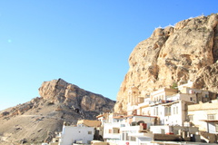 picasa-5430578158023339010